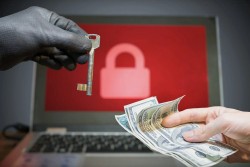Có nên trả tiền chuộc dữ liệu cho tin tặc?