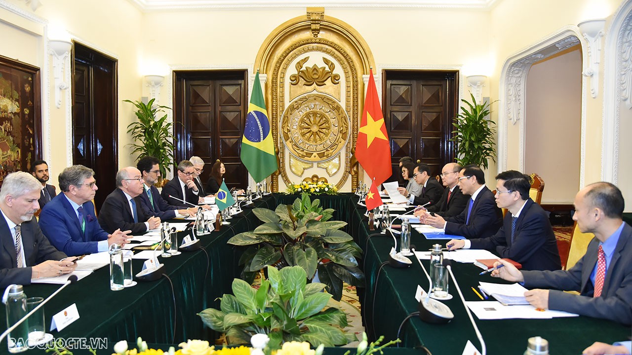 Cùng với quan hệ chính trị-ngoại giao tốt đẹp, hợp tác về kinh tế, thương mại giữa Việt Nam và Brazil tiếp tục phát triển, trở thành nền tảng cho quan hệ lâu dài giữa hai nước. Brazil là đối tác thương mại lớn nhất của Việt Nam tại Mỹ La-tinh và đứng thứ hai tại khu vực châu Mỹ (sau Hoa Kỳ), Việt Nam là đối tác hàng đầu của Brazil trong khu vực ASEAN. Tuy nhiên hợp tác đầu tư giữa hai nước còn khiêm tốn so với tiềm năng.