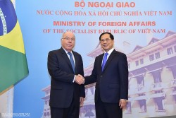 Việt Nam-Brazil hướng tới thiết lập khuôn khổ quan hệ Đối tác chiến lược