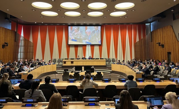 ECOSOC meeting (Photo: VNA)