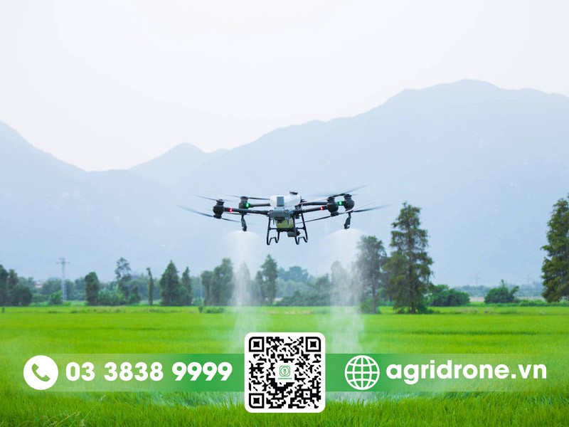 AgriDrone chuyên phân phối máy bay phun thuốc DJI T50 tại Việt Nam