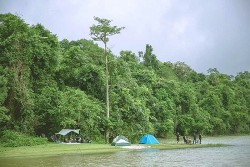 Triển vọng phát triển du lịch xanh bền vững tại Bình Phước