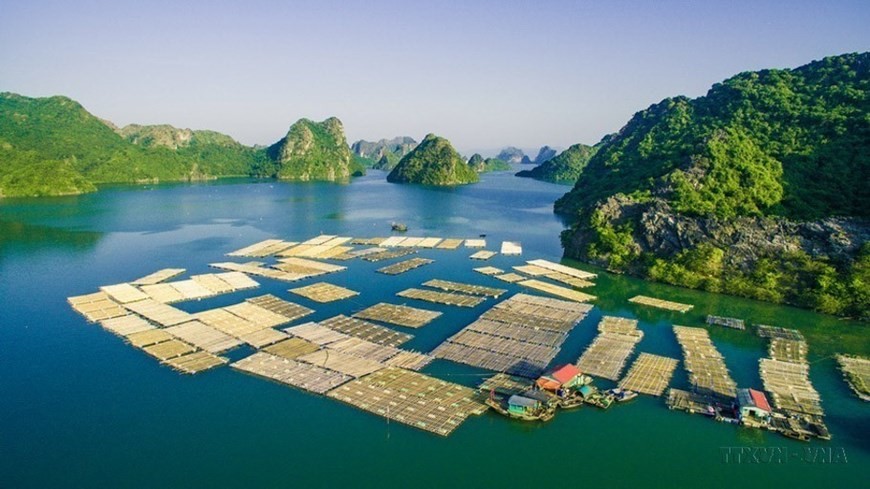 65 years of sustainable development of Vietnam's fisheries industry 65 years of sustainable development of Vietnam's fisheries industry