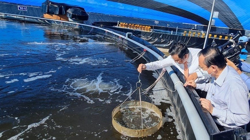 65 years of sustainable development of Vietnam's fisheries industry 65 years of sustainable development of Vietnam's fisheries industry