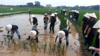Hanoi to promote tourism linked to heritage and craft villages