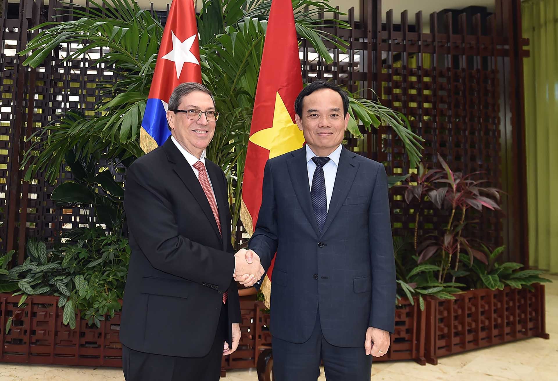 Phó Thủ tướng Chính phủ Trần Lưu Quang gặp và làm việc với đồng chí Bruno Rodriguez, Ủy viên Bộ Chính trị, Bộ trưởng Bộ Ngoại giao Cuba. (Nguồn: VGP)