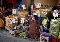 WB và IMF công bố dự báo tăng trưởng, Bolivia hoài nghi