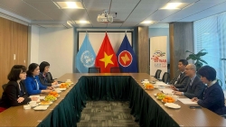 Đoàn công tác Trung ương Hội Liên hiệp Phụ nữ Việt Nam thăm và làm việc với Phái đoàn Việt Nam tại Liên hợp quốc