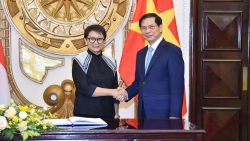 Bộ trưởng Ngoại giao Việt Nam-Indonesia đồng chủ trì Kỳ họp lần thứ năm Ủy ban hợp tác song phương