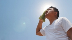 Bác sĩ Ấn Độ chia sẻ cách giảm nhiệt độ cơ thể trong những ngày nắng nóng