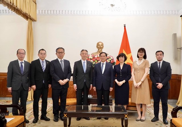 Vietnam, Japan look to step up culture, education, science, technology cooperation: FM Bui Thanh Son