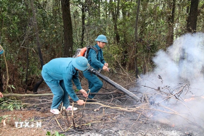 Vụ cháy rừng ở Nghệ An: Ước tính thiệt hại khoảng 8,5ha rừng