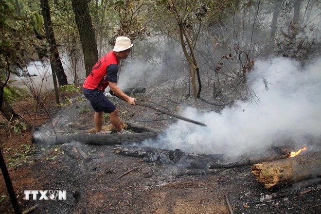 Vụ cháy rừng ở Nghệ An: Ước tính thiệt hại khoảng 8,5ha rừng