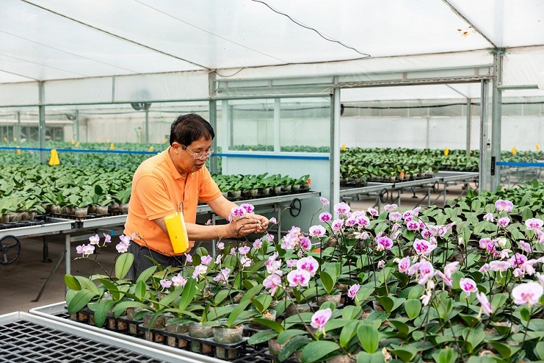 Theo doanh nhân Nguyễn Văn Kính, những cây phong lan 100% “Made in Vietnam” xứng đáng nằm trong danh sách đề cử quà tặng ngoại giao.