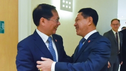 OECD: Bộ trưởng Ngoại giao Bùi Thanh Sơn gặp Phó Thủ tướng, Bộ trưởng Ngoại giao Lào Saleumxay Kommasith