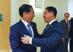 OECD: Bộ trưởng Ngoại giao Bùi Thanh Sơn gặp Phó Thủ tướng, Bộ trưởng Ngoại giao Lào Saleumxay Kommasith
