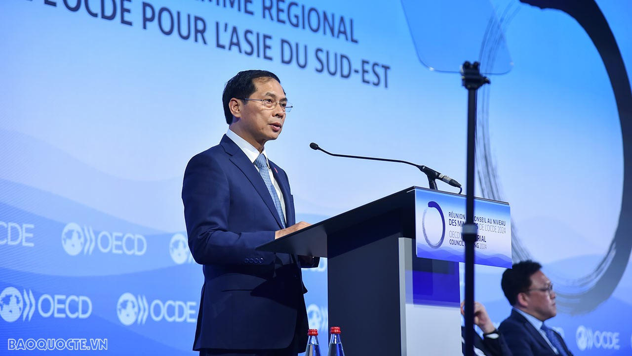 OECD: FM Bui Thanh Son addresses first plenary session of Ministerial Council Meeting 2024