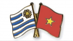 Xây dựng Không gian Việt Nam tại thủ đô Montevideo của Uruguay