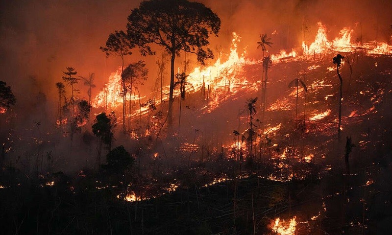 Brazil ghi nhận số lần cháy rừng kỷ lục từ tháng 1-4