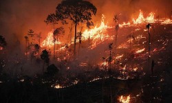 Brazil ghi nhận số lần cháy rừng kỷ lục, một nửa xảy ra ở khu vực Amazon