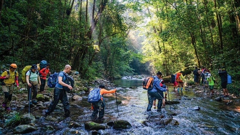 Explore the ecosystem of Bidoup - Nui Ba National Park in Lam Dong Province