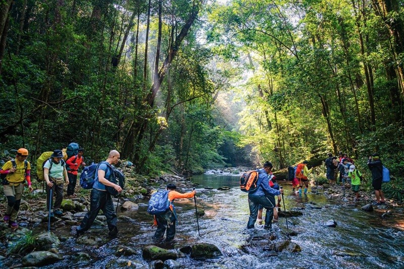 Explore the ecosystem of Bidoup - Nui Ba National Park in Lam Dong Province