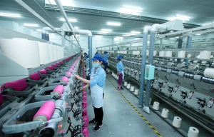 Textile and garment businesses face difficulties due to lack of domestic supply