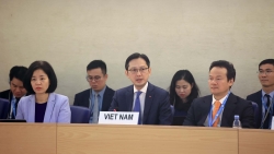 Cộng đồng quốc tế đánh giá cao thành tựu của Việt Nam về bảo vệ và thúc đẩy quyền con người