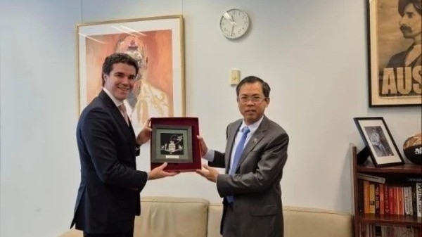 Vietnam-Australia upgrading partnership shows long-term commitments: Ambassador