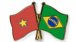 Điện mừng kỷ niệm 35 năm thiết lập quan hệ ngoại giao Việt Nam-Brazil