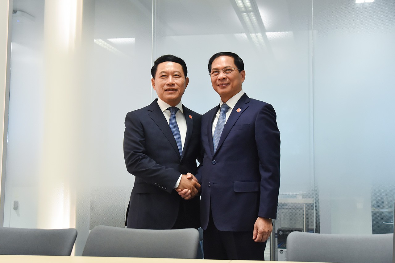 Bộ trưởng Ngoại giao Bùi Thanh Sơn đã gặp Phó Thủ tướng, Bộ trưởng Ngoại giao Lào Saleumxay Kommasith.
