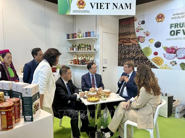 Vietnamese agricultural products introduced at int'l trade fair Macfrut in Italy