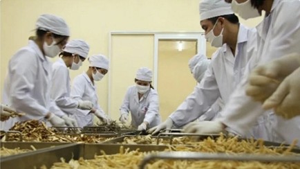 PM instructs review of regulations hampering medicinal herb exports