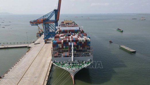 Cai Mep Int'l Terminal port authorised to receive super container ships: Ministry of Transport