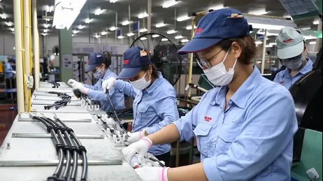 Vietnam's key economic pillars show positive growth: General Statistics Office