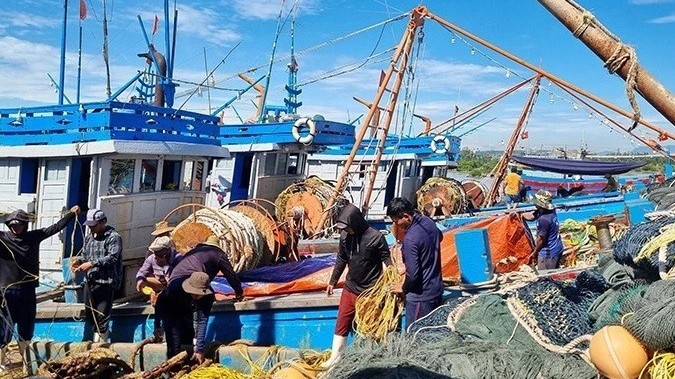 RoK pledges collaboration with Vietnam to fight IUU fishing: Korean Minister