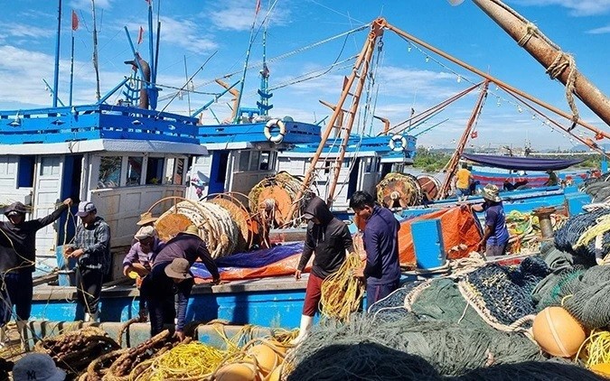 RoK pledges collaboration with Vietnam to fight IUU fishing: Korean Minister