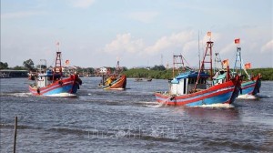 Nghe An cracks down on unlicensed fishing practices