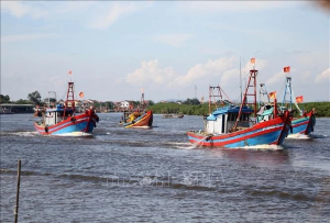 Nghe An cracks down on unlicensed fishing practices