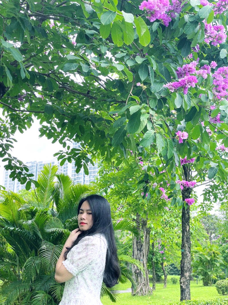 Hoa bằng lăng 'nhuộm' tím phố phường Hà Nội, các thiếu nữ...