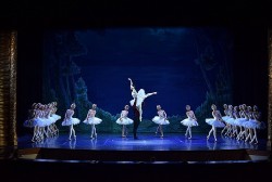 Vở ballet Hồ Thiên Nga trở lại sân khấu Hà Nội với phiên bản mới