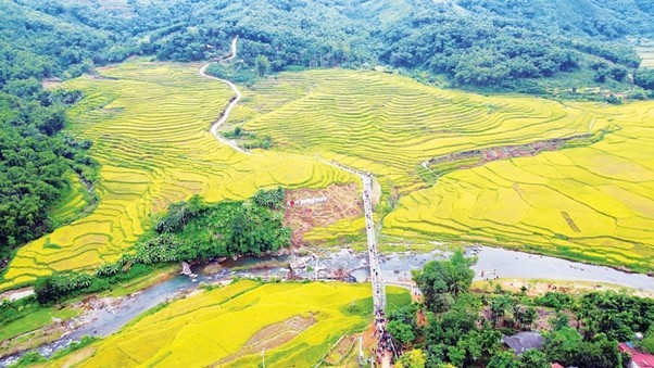Cánh đồng ruộng bậc thang mùa lúa chín tại xã Yên Thắng, Lang Chánh. (Nguồn: Ngày mới Online)