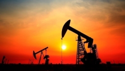 Giá xăng dầu hôm nay 18/5: Kinh tế Mỹ và Trung Quốc khởi sắc, kéo giá dầu đi lên