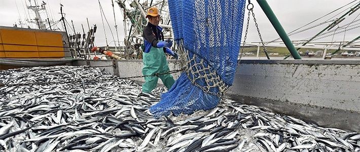 Trung Quốc tiếp tục siết chặt quy định nhập khẩu thủy sản từ Nhật Bản