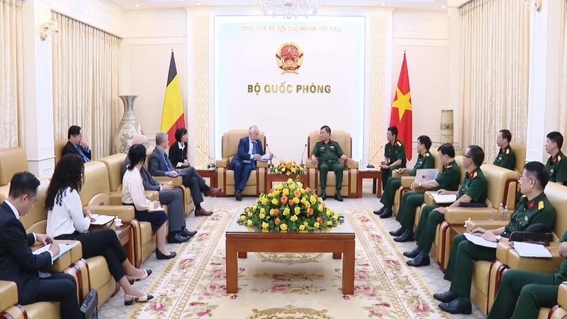 Vietnam, Belgium strengthen cooperation over war consequence settlement: Deputy Defence Minister