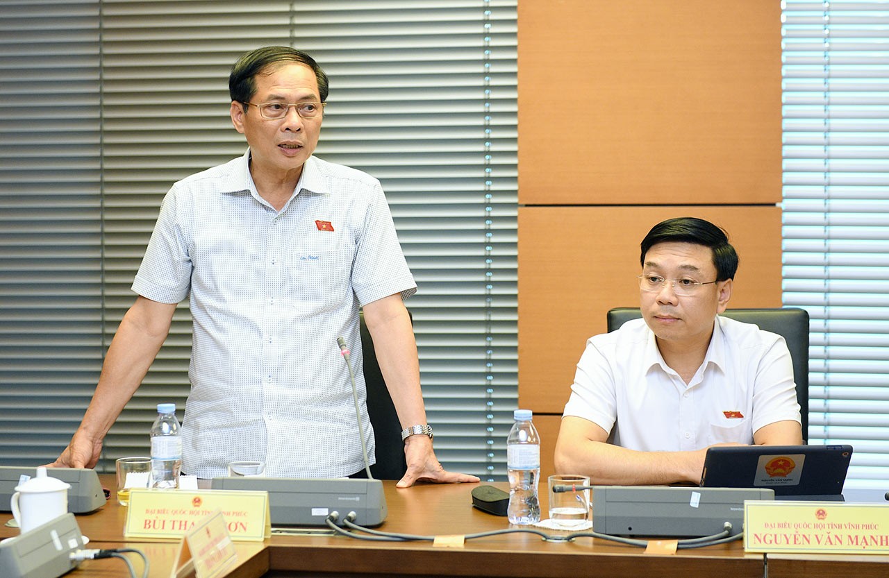 Bộ trưởng Ngoại giao Bùi Thanh Sơn, Đoàn đại biểu Quốc hội tỉnh Vĩnh Phúc