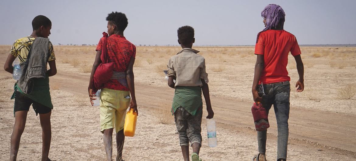 Người di cư đi qua sa mạc Djibouti. (Nguồn: IOM)