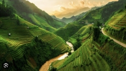 Sốt săn lùng 'địa điểm mát mẻ' - miền núi Việt Nam hút khách