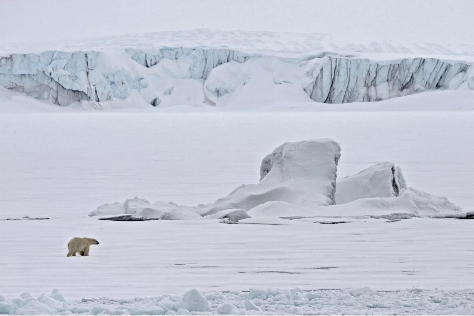 Nga nhấn mạnh lý do phương Tây 'tự tước đi cơ hội' ở Bắc Cực