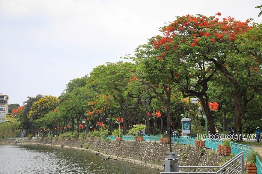 Những sắc hoa Hồ Tây...